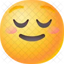 Proud Happy Celebration Icon