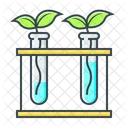 La Botanica Planta Naturaleza Icono