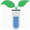 Planta Prueba Plantacion Icono