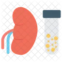 Prueba De Rinon Enfermedad Renal Analisis De Orina Para Rinon Icono