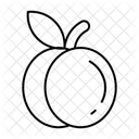  Icône