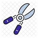 Pruners Gardening Tool Icon