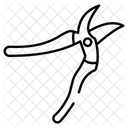 Pruning  Icon