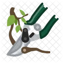 Pruning  Icon