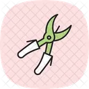 Pruning Branches Icon