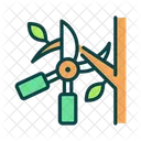 Pruning  Icon