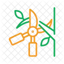 Pruning  Icon