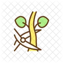 Plant Prune Seed Icon