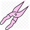 Pruning Shears Farm Icon