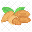 Prunus Amygdalus  Icon