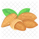Prunus Amygdalus  Icône