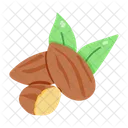 Prunus Dulcis  Icon