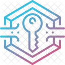 Public Key Security Icon