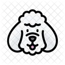 Puddel Dog Animal Icon