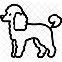 Pudel Hund Haustier Symbol