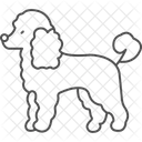Pudel Hund Haustier Symbol