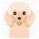 Pudel  Symbol