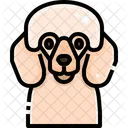 Pudle Dog Puppy Icon