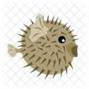 Puffer Fish Fish Fishing Icon
