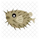 Puffer Fish Fish Fishing Icon