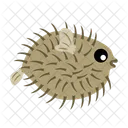 Puffer Fish Fish Fishing Icon