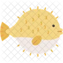 Puffer Fish Blowfish Inflate Icon