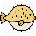Puffer Fish Blowfish Inflate Icon