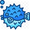 Puffer fish  Icon