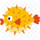 Puffer fish  Icon