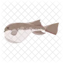 Pufferfish Puffer Fish Icon