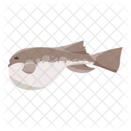 Pufferfish  Icon