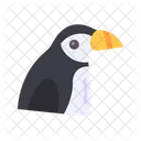 Puffin  Icon