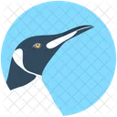 Puffin Bird Hummingbird Icon