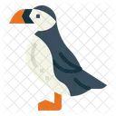 Puffin  Icon
