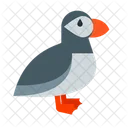 Puffin Bird Bird Seabird Icon