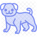 Pug Perro Mascota Icono