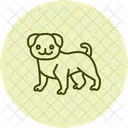Pug Perro Mascota Icono