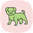 Pug Perro Mascota Icono