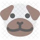 Pug Icon