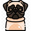 Pug Dog Puppy Icon
