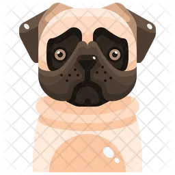 Pug  Icon