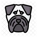 Pug Dog Animal Icon