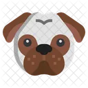 Pug  Icon