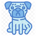 Pug  Icon