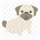 Pug Dog Puppy Icon