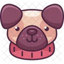 Animal Color Outline Icon