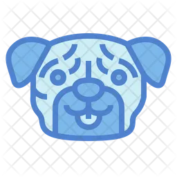 Pug Dog  Icon