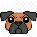 Pug Pet Dog Dog Icon