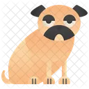 Pug  Ícone
