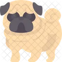 Pug  Ícone